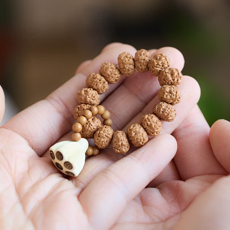 1780392569.jpg Buddha Stones Vajra Seed Hand-Polished Lotus Pod Pendant Tactile Meditation Beads Decorations